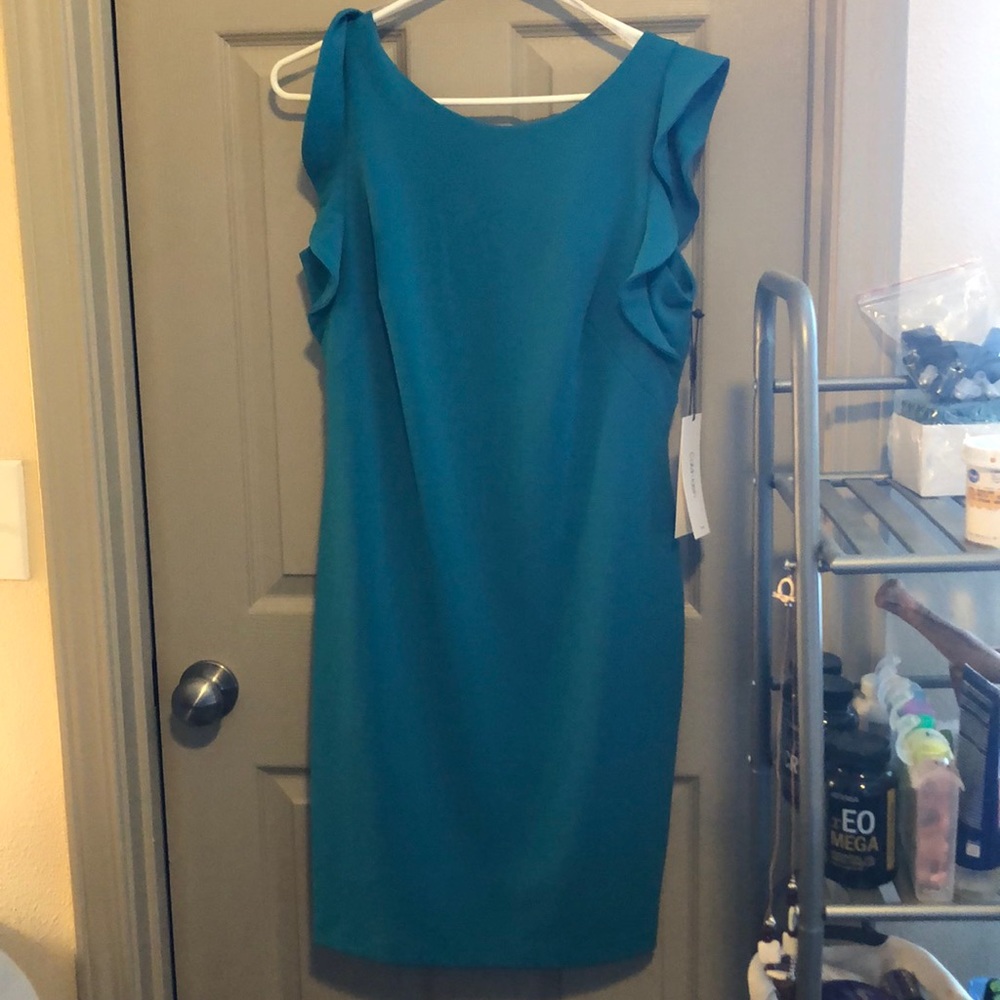 NWT Calvin Klein Dress
